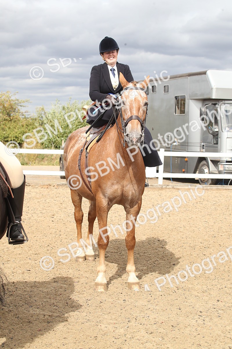 SBM_17766 - Class 508a - Working Veteran 70cm (15-19)