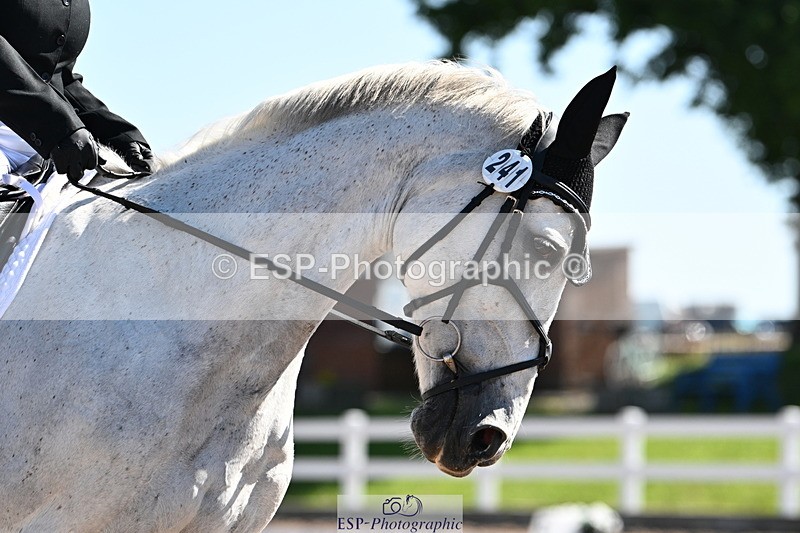 240621A-094801-01607 - Cls 2 BD Prelim 19