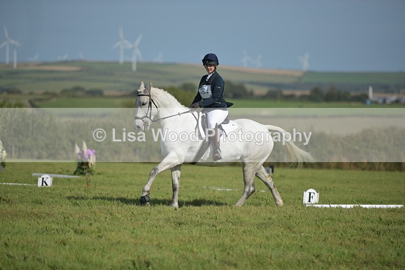 RAY_8115 - Class 2B: Trekenning Open: Dressage