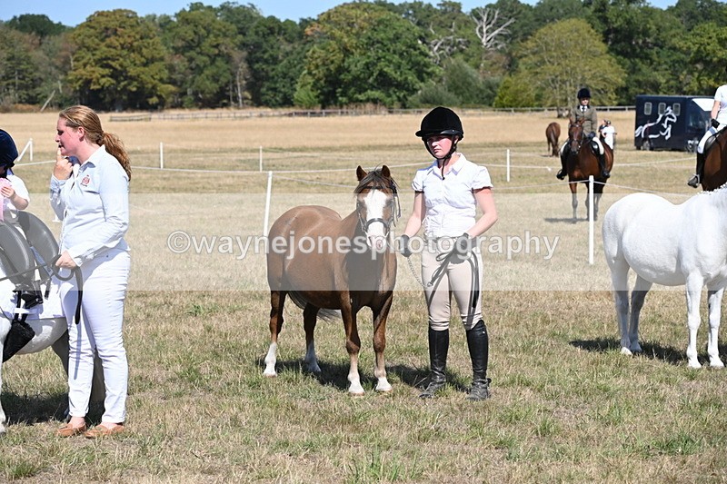 WJ6_9529 - Class 40 Cheekiest Pony/Horse