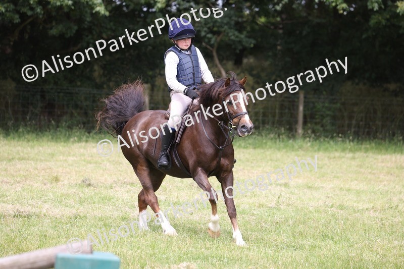 20260614-3236 - Class 22 - Open Working Hunter