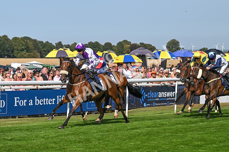 130825-Race 4-Dumfries-8539 - Race 4