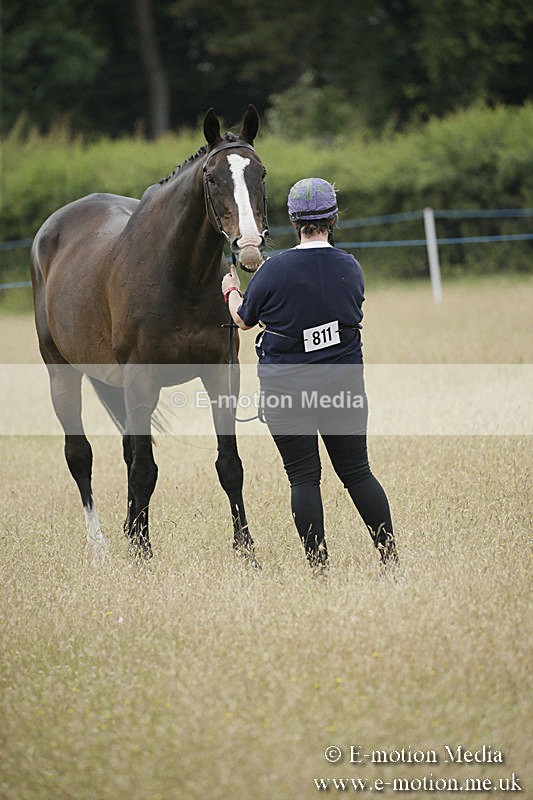 B230619-0295 - Bourne Valley Riding Club Summer Show 23/06/19