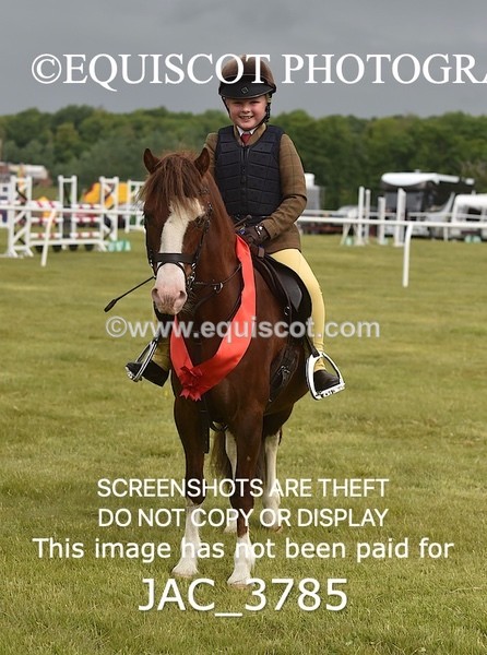 JAC_3785 - 75CM WORKING HUNTER