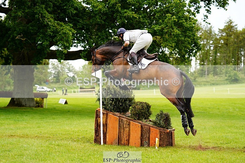 240525-170150-18986 - 260-WATERVALLEY_ROYAL_GUY-Harry_Meade