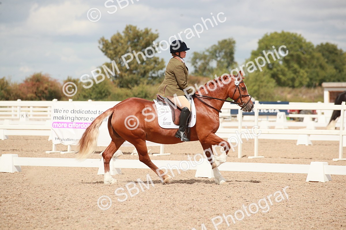 SBM_05856 - Class 32 - Novice 1