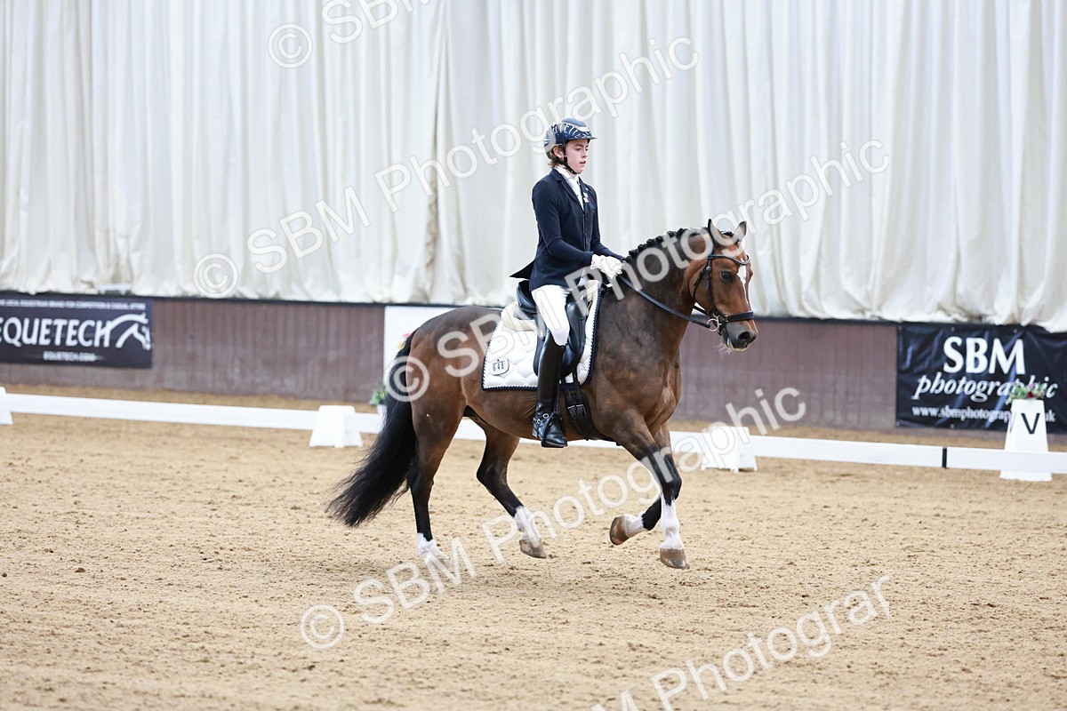 SBM_017126 - Class15 - FEI Pony