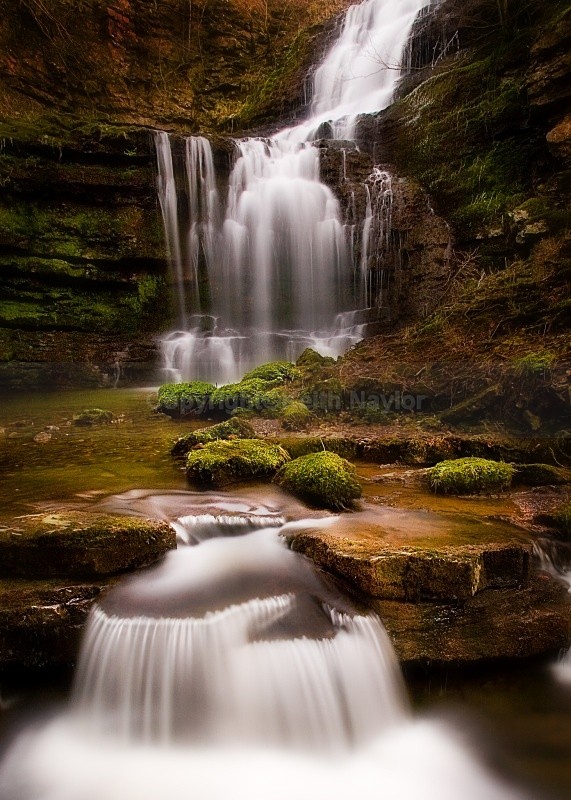 scaleber force - 2007