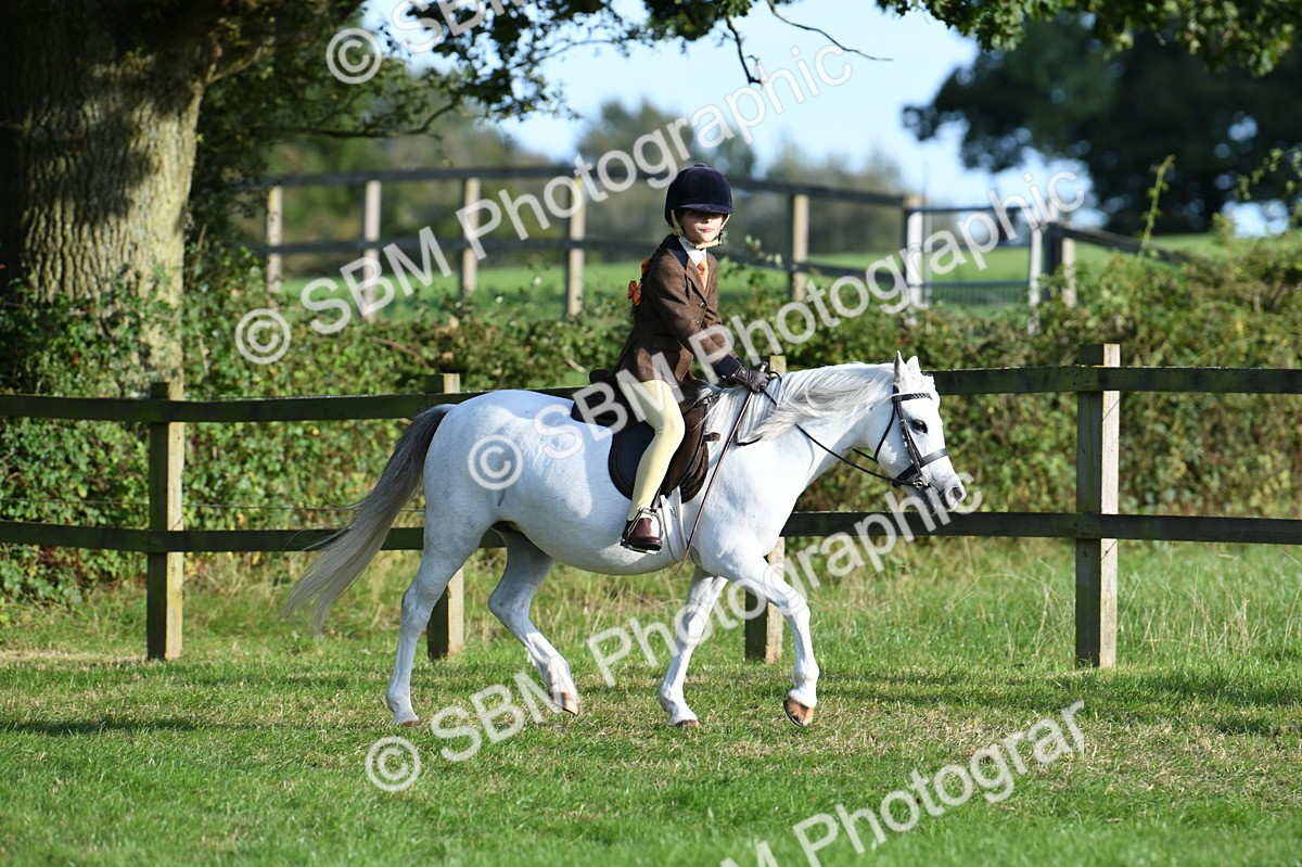 SBM_54009 - S23 - 1st Ridden Mountain & Moorland Pony