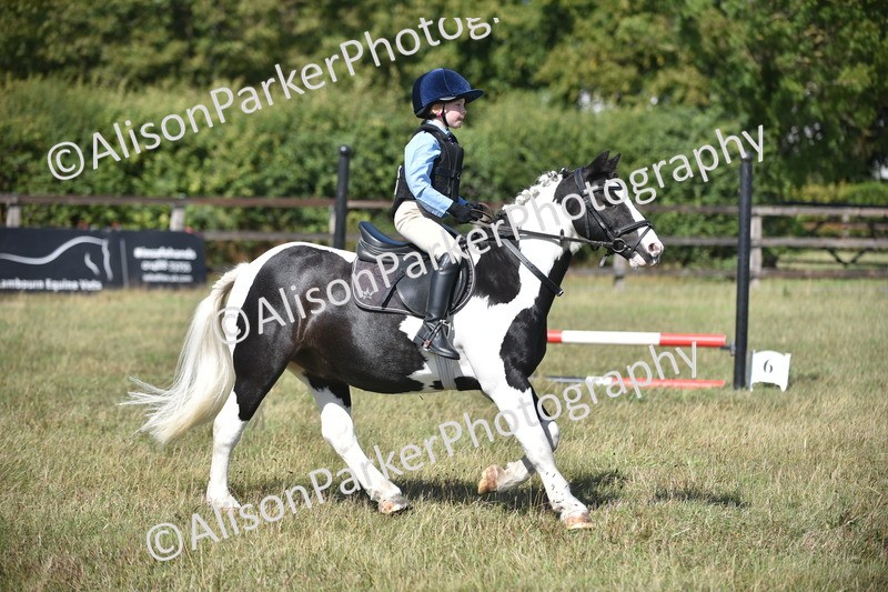 20260906-1711 - Class 9 - Absolute Novice Jumping 45cm