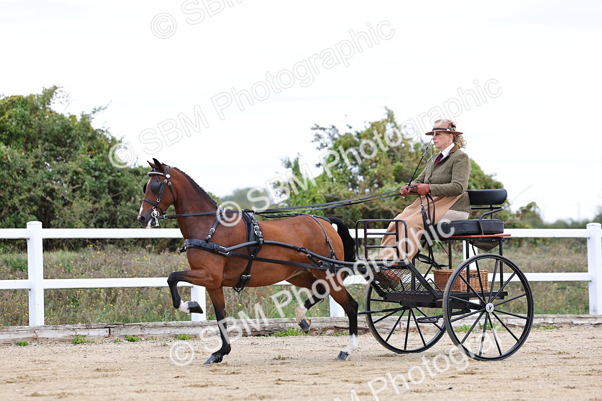 SBM_000280 - Class 2 - Exercise Vehicle 13.2hh & Under