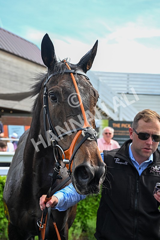 300526-Race 4-Not So Sobers-0485 - Race 4 15.35pm Netherfield FC Team Of 1990 Handicap