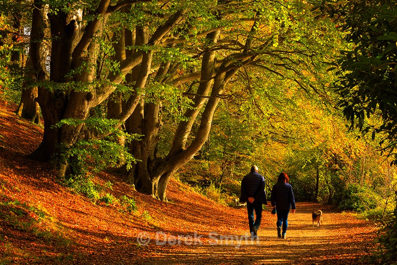Perfect Autumn day for a walk
