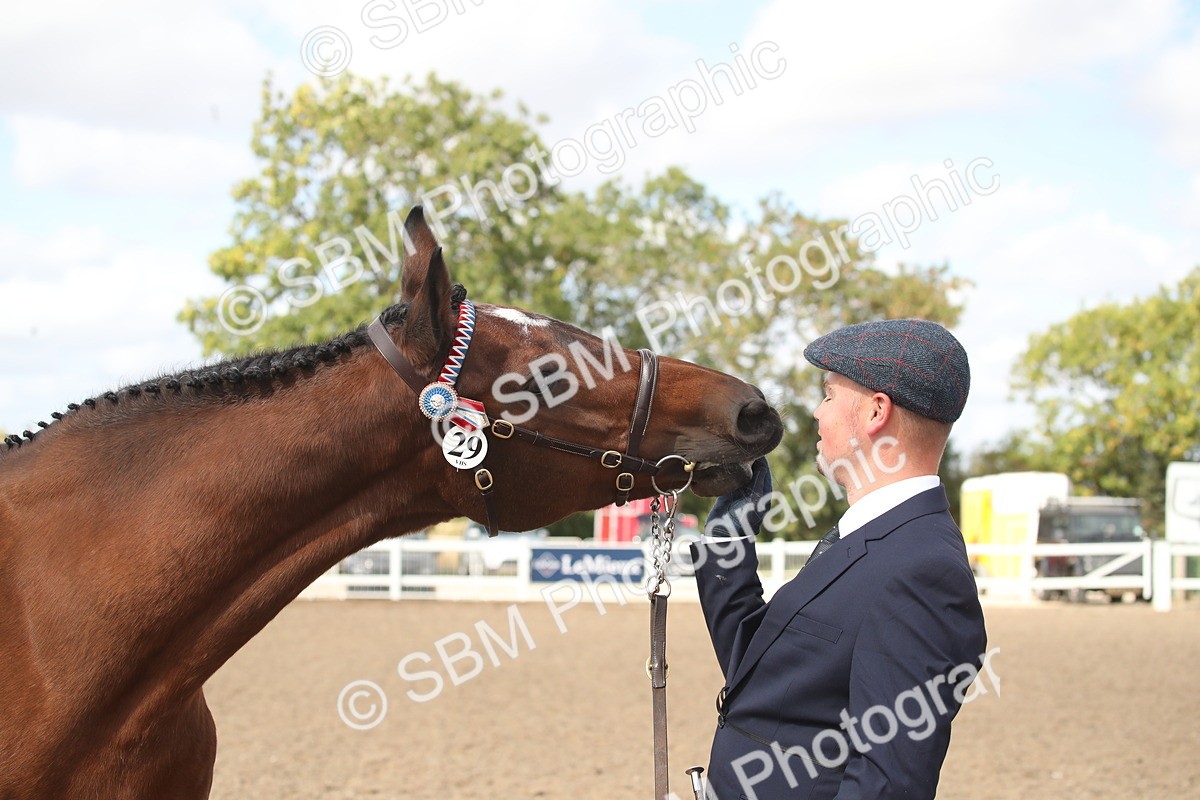 SBM_23461 - Class 604 - 2026 - Area IH Diamond