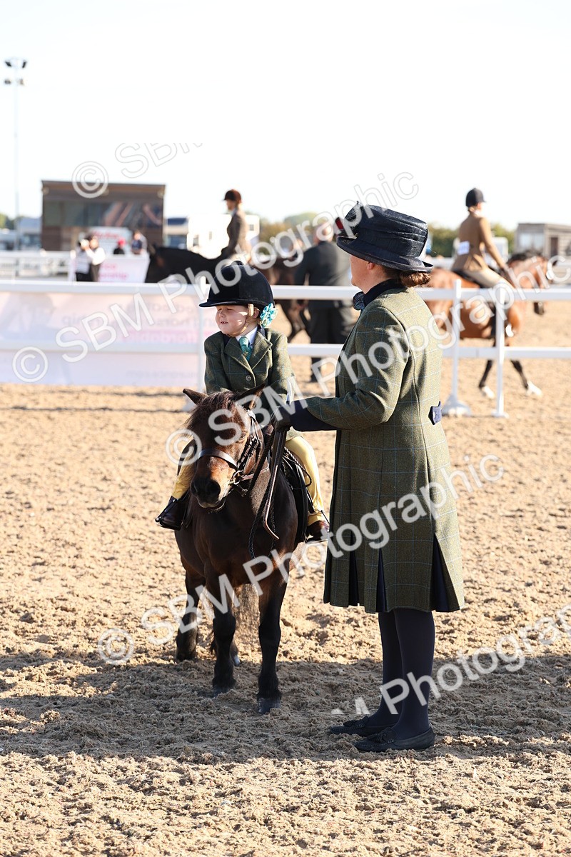 SBM_10836 - Class 202 - Best Turned Out - Ridden