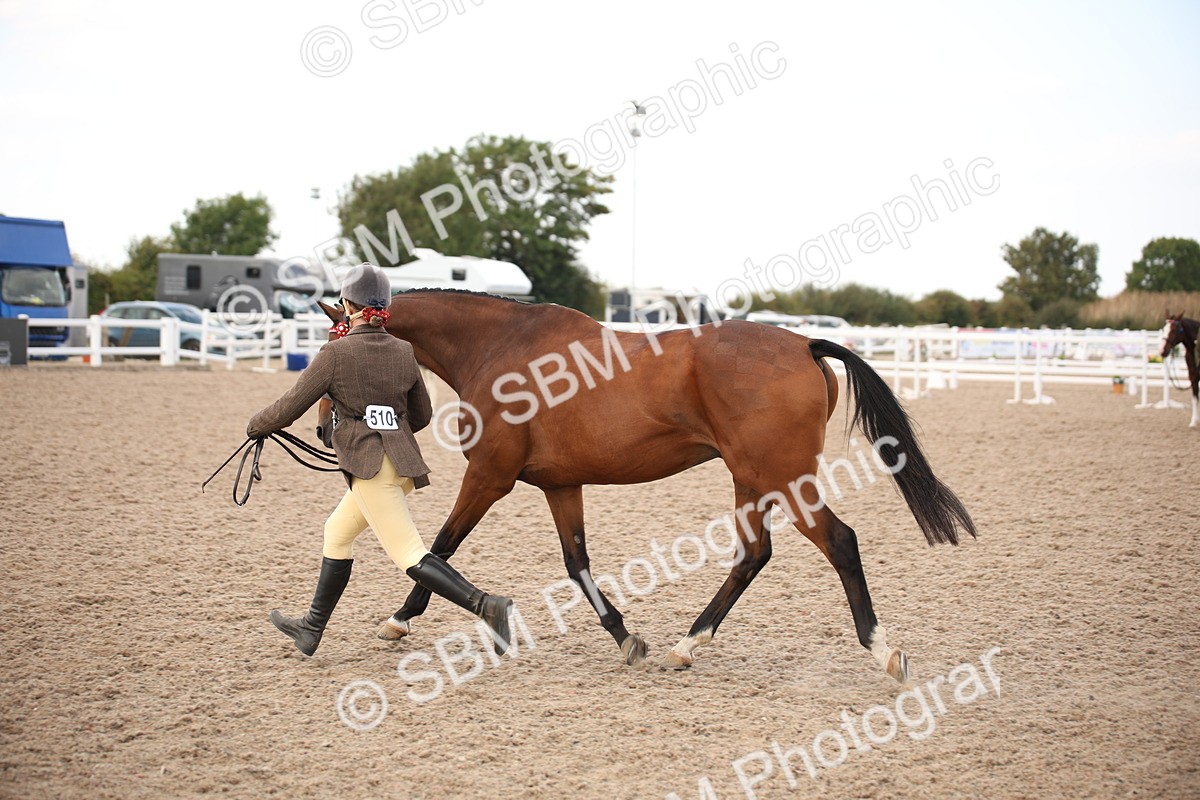 SBM_08232 - Class 27 - IH Competition Horse-Pony