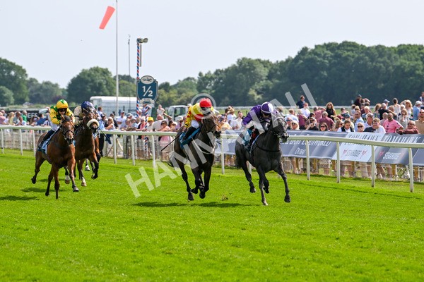 130625-Race 4-India Love-9221 - Race 4 3.35pm Juddmonte EBF Fillies' Restricted Novice Stakes