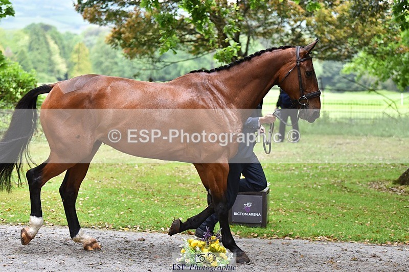 240522-163526-01030 - 213-GLOBAL_KARINA-Hector_Payne