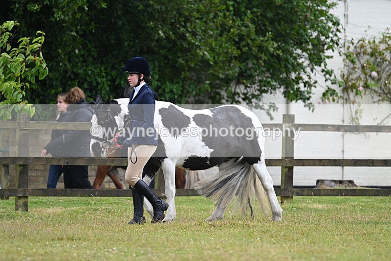WJ7_5862 - Class 4 Prettiest Mare in Hand