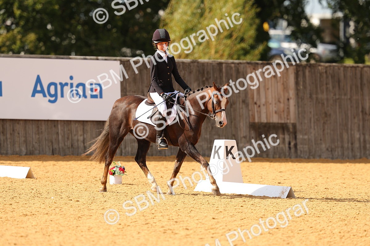 SBM_48381 - D22 - Junior Championship - Intro B