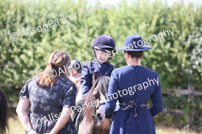 20260906-2794 - Class 25 - Absolute Beginners Pony