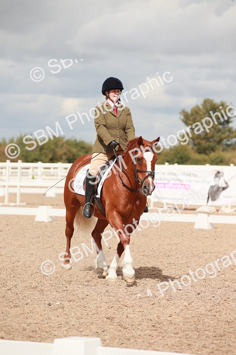 SBM_05869 - Class 32 - Novice 1