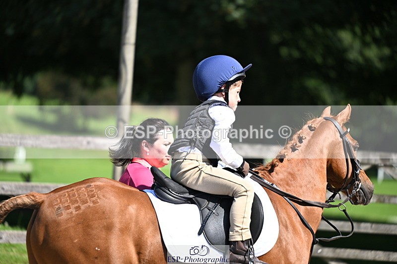 240729B-110851-02246 - Showjumping Competition