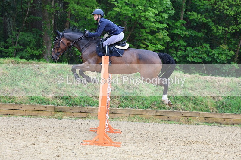 3E7A7417 - Class 8: Senior Foxhunter/1.20 open