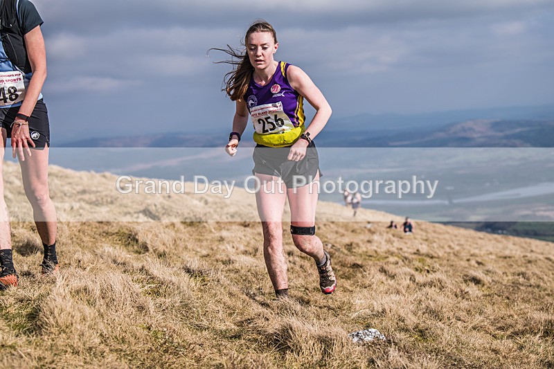 Black Combe-1956 - Black Combe Fell Race Saturday 7th March 2026