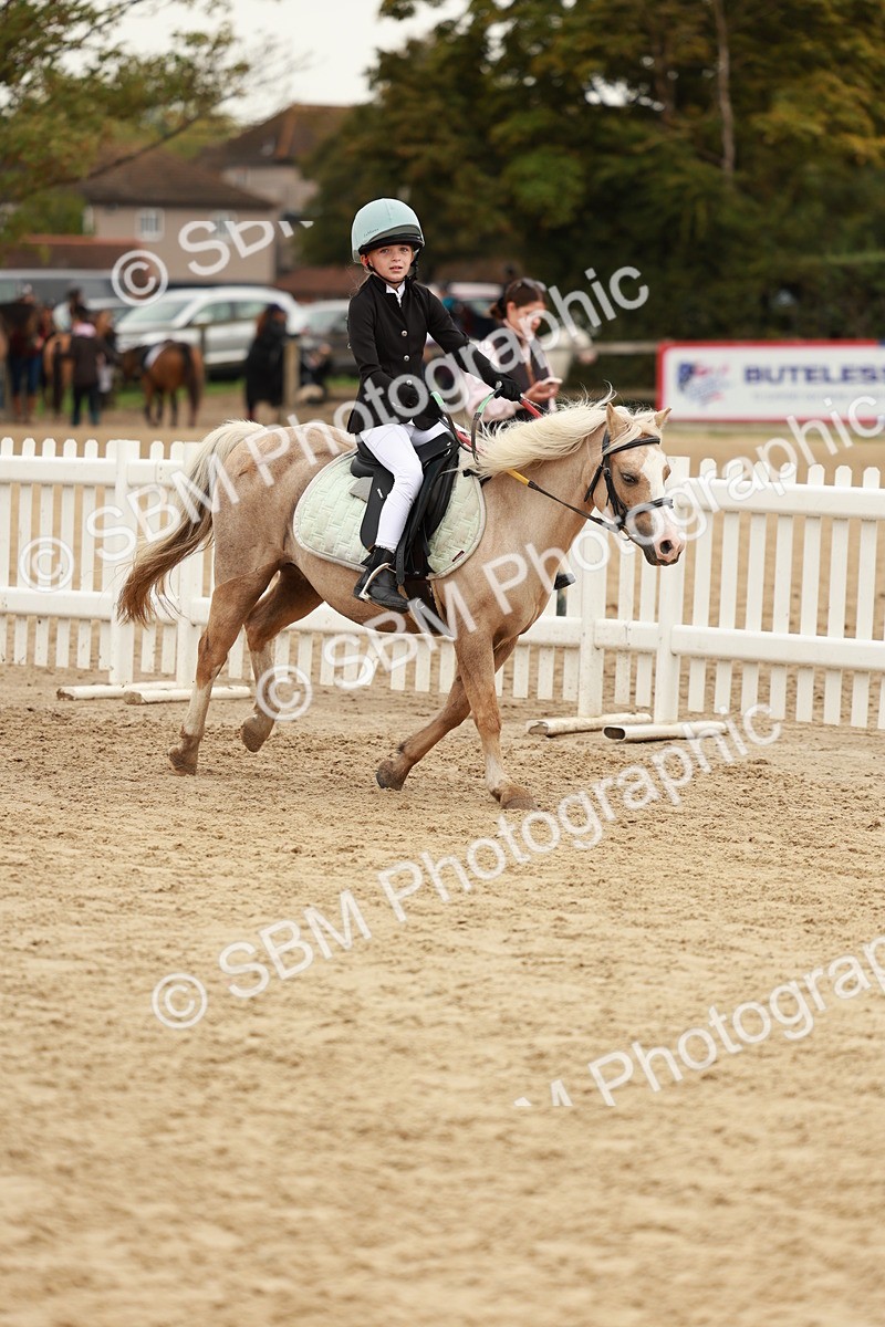 SBM_57922 - J11 - Junior Pony 50cm Championship