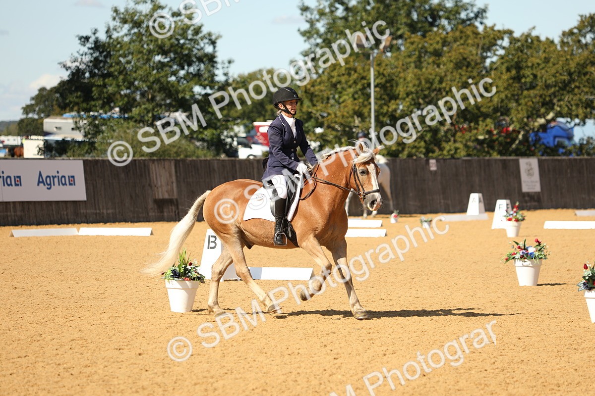 SBM_22395 - D17 - Grand Tour Championship - Novice 27