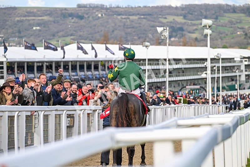 120325-Race 4-Stumptown-7257 - 12th March