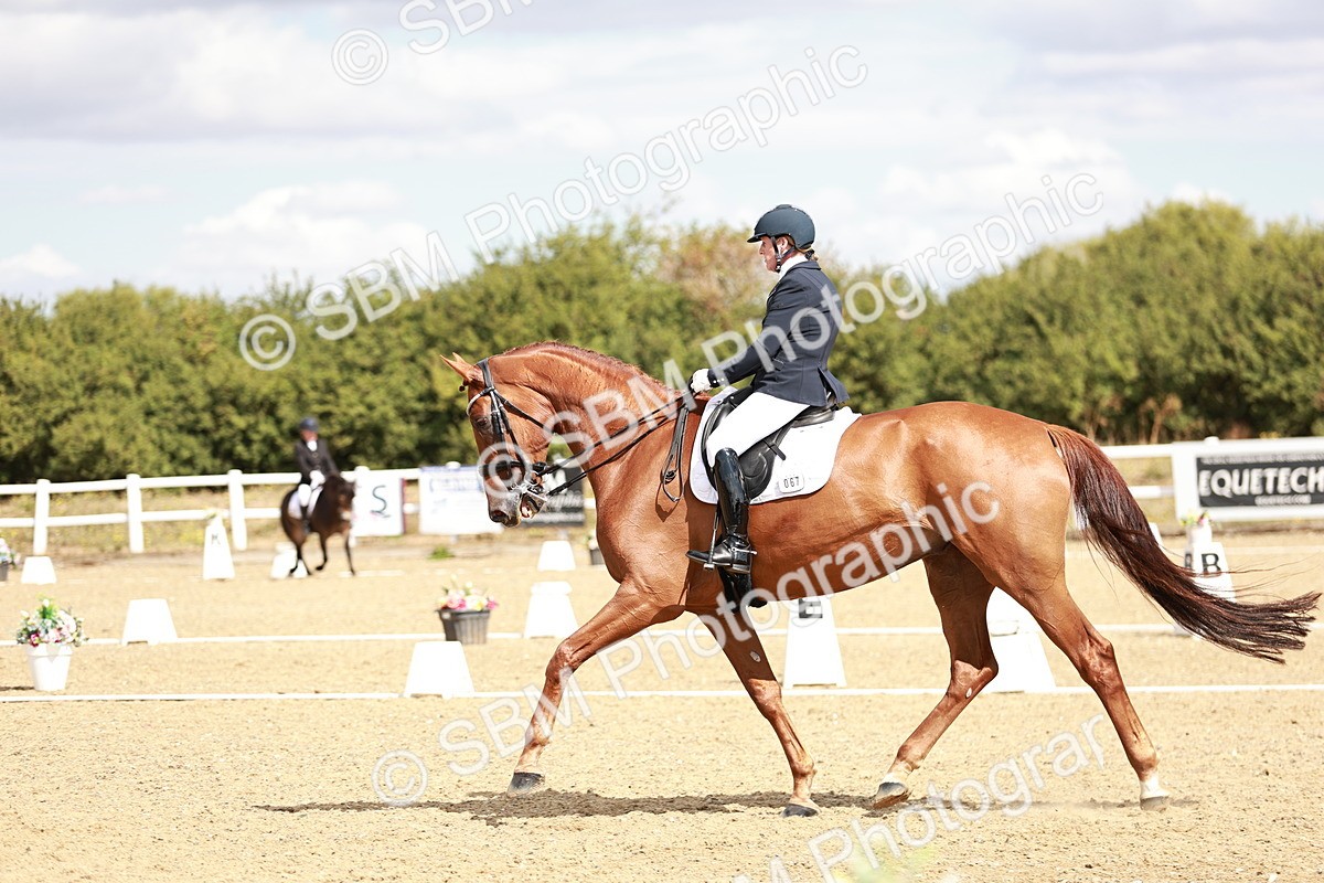 SBM_009411 - Class 11 - AM6