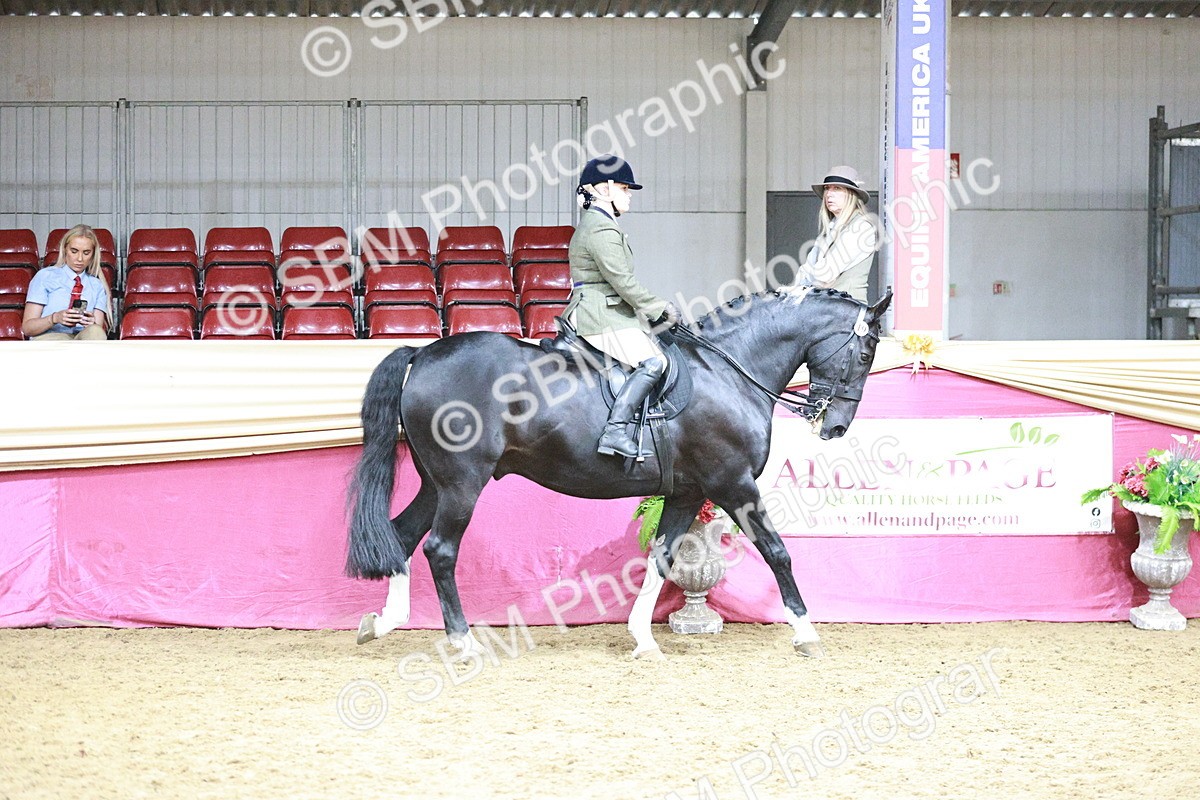 SBM_08721 - Class 12R - Regional Ridden Pre-Vet