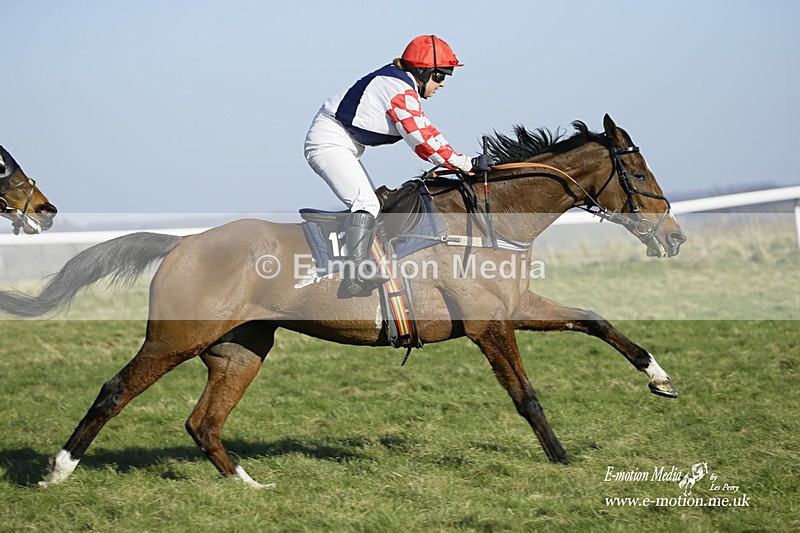 PtP 270222 234 - South & West Wilts Point-to-Point Larkhill 27/02/22