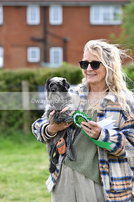 WJ5_9887 - Class 3 Most Handsome Dog