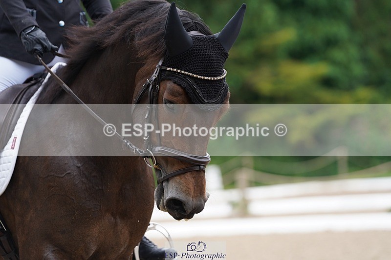 240721-100558-07432 - 301-Lauren_Prince-Inishturkbeg_Lucy_Jewel