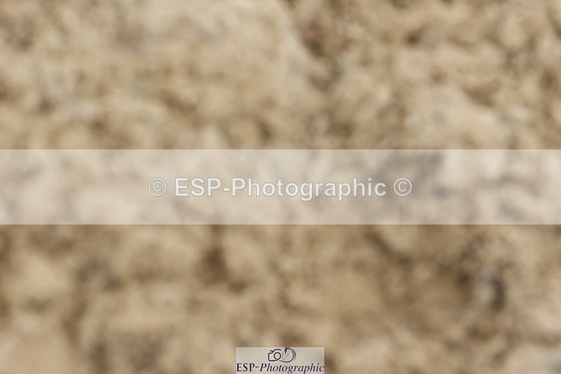 240817-113147-00986 - 03A Snr Disc