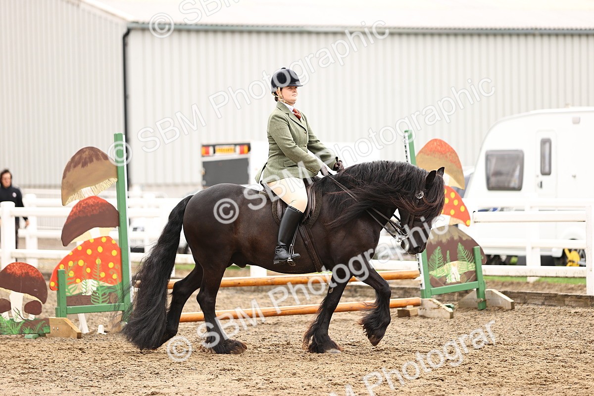 SBM_00523 - Class 53 - Ridden Competition Horse Pony