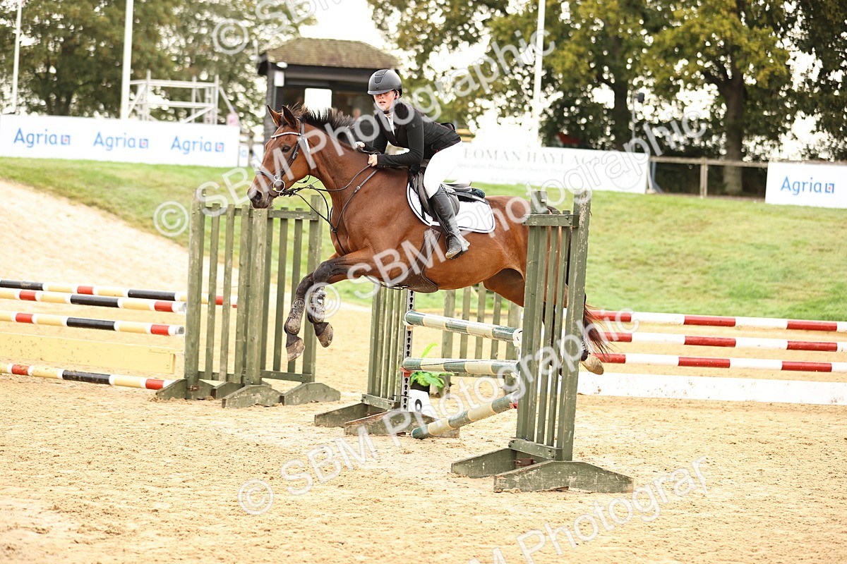 SBM_58322 - J41 - Grand Tour Horse & Pony 95cm