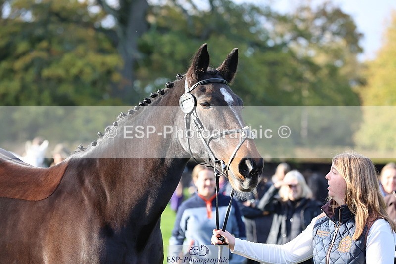 251026A-095403-22564 - D-350-Katie.Timberlake