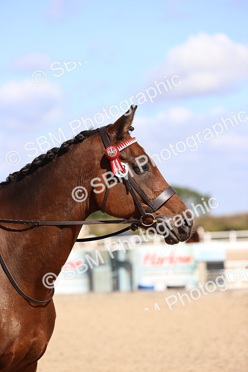 SBM_11632 - Class 408 - Grassroots Ridden - Walk & Trot