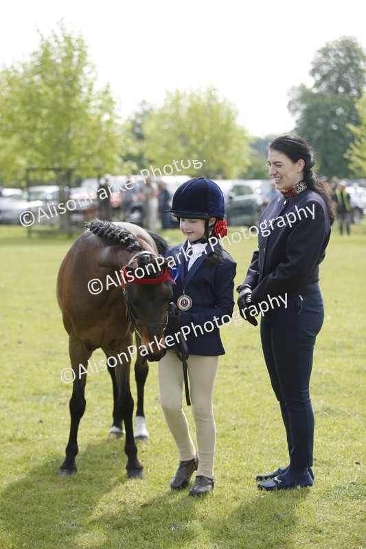 20260426-1890 - Class 7 - Pony Judge Would Most Like To Take Home