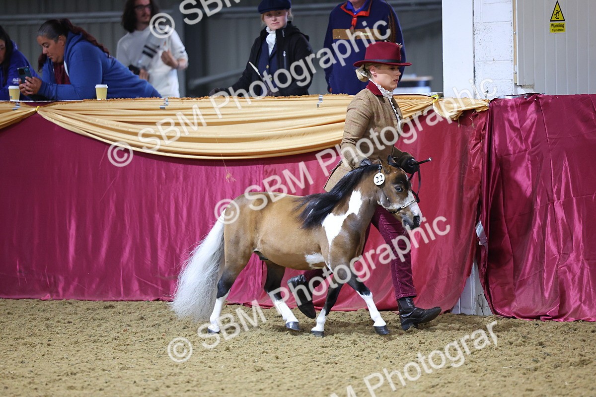 SBM_20967 - Class 902 - Supreme Final IH Veteran