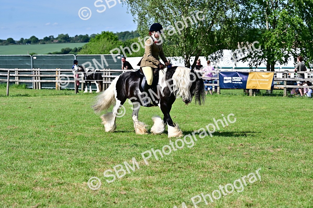 SBM_09371 - Class 63-65 - Traditional Gypsy Cobs In Hand & Ridden