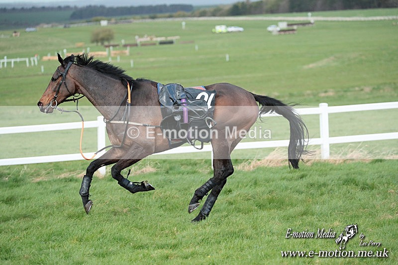PtP 230324 905 - Tedworth Hunt PtP Larkhill Raccourse 23rd March 2024