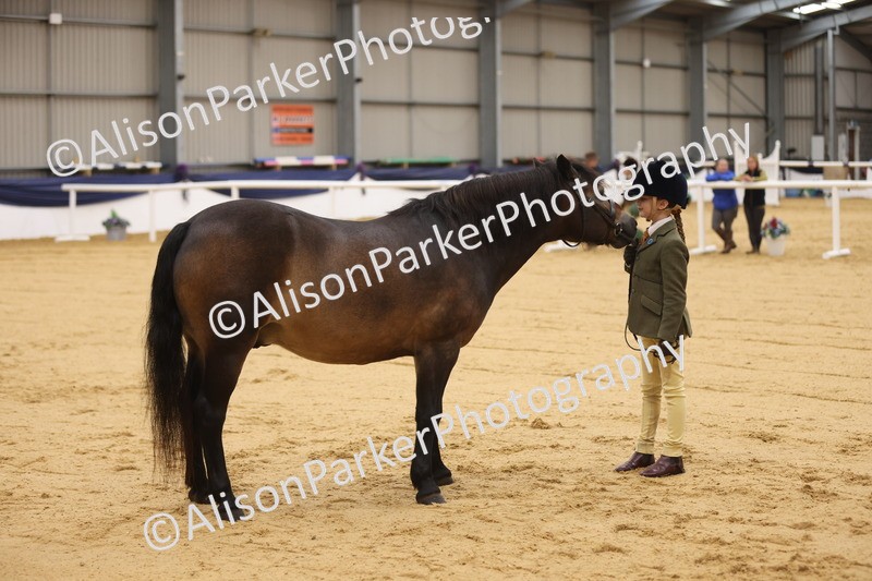 20260913-0099 - Class 121 - Young Handler 5-16