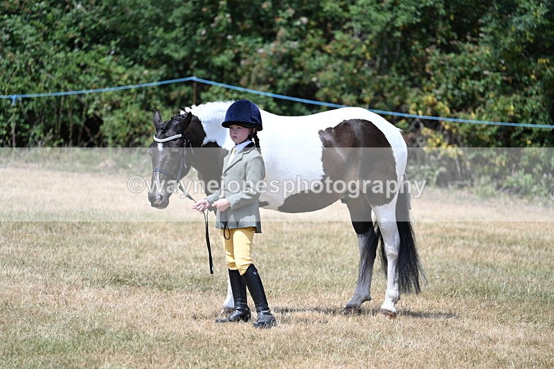WJ7_2183 - Class 5 Most Handsome Gelding (up to 14.2hh) in hand