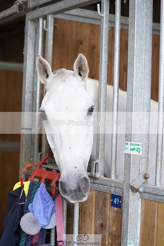 240809A-134640-01015 - Stable Shots