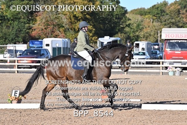 BPP_8544 - LONG ARENA